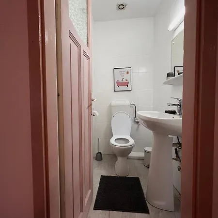 Simon Old Town City Center Apartment Brasov